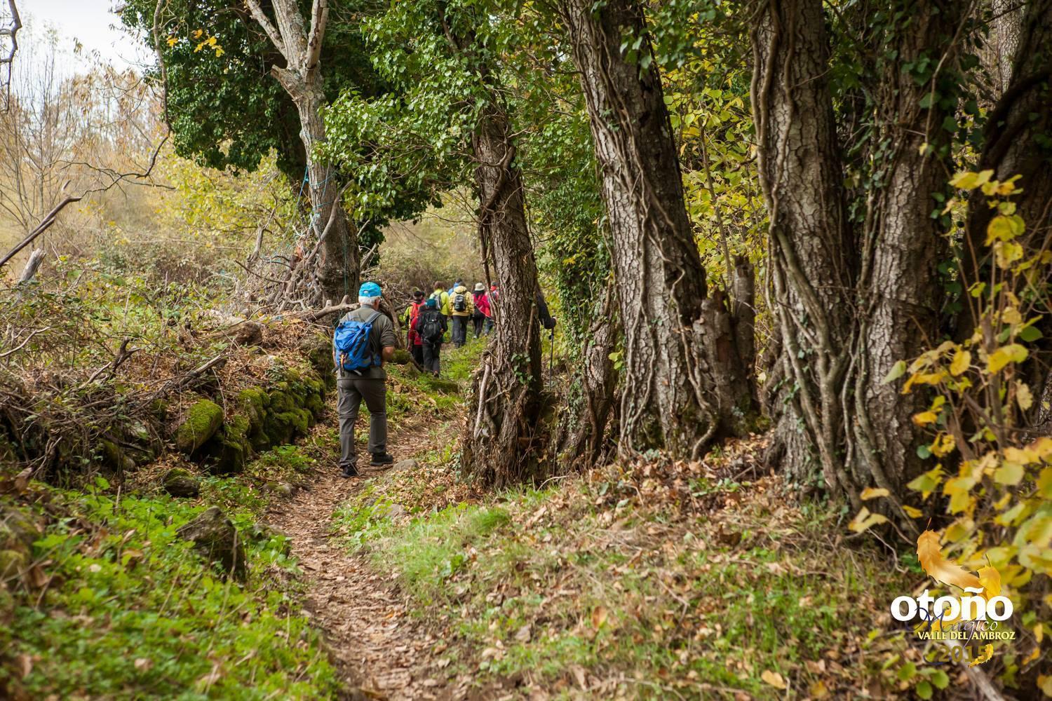 Casas Rurales Acebuche, Descubre el Otoño Mágico en el Valle de Ambroz Casas del Monte Exterior foto